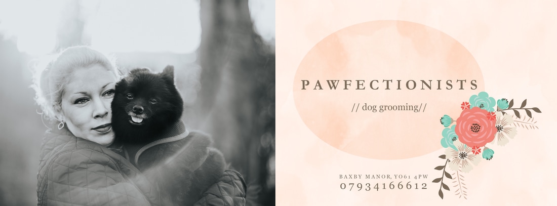 Dog Groomer Thirsk Easingwold Pawfectionists